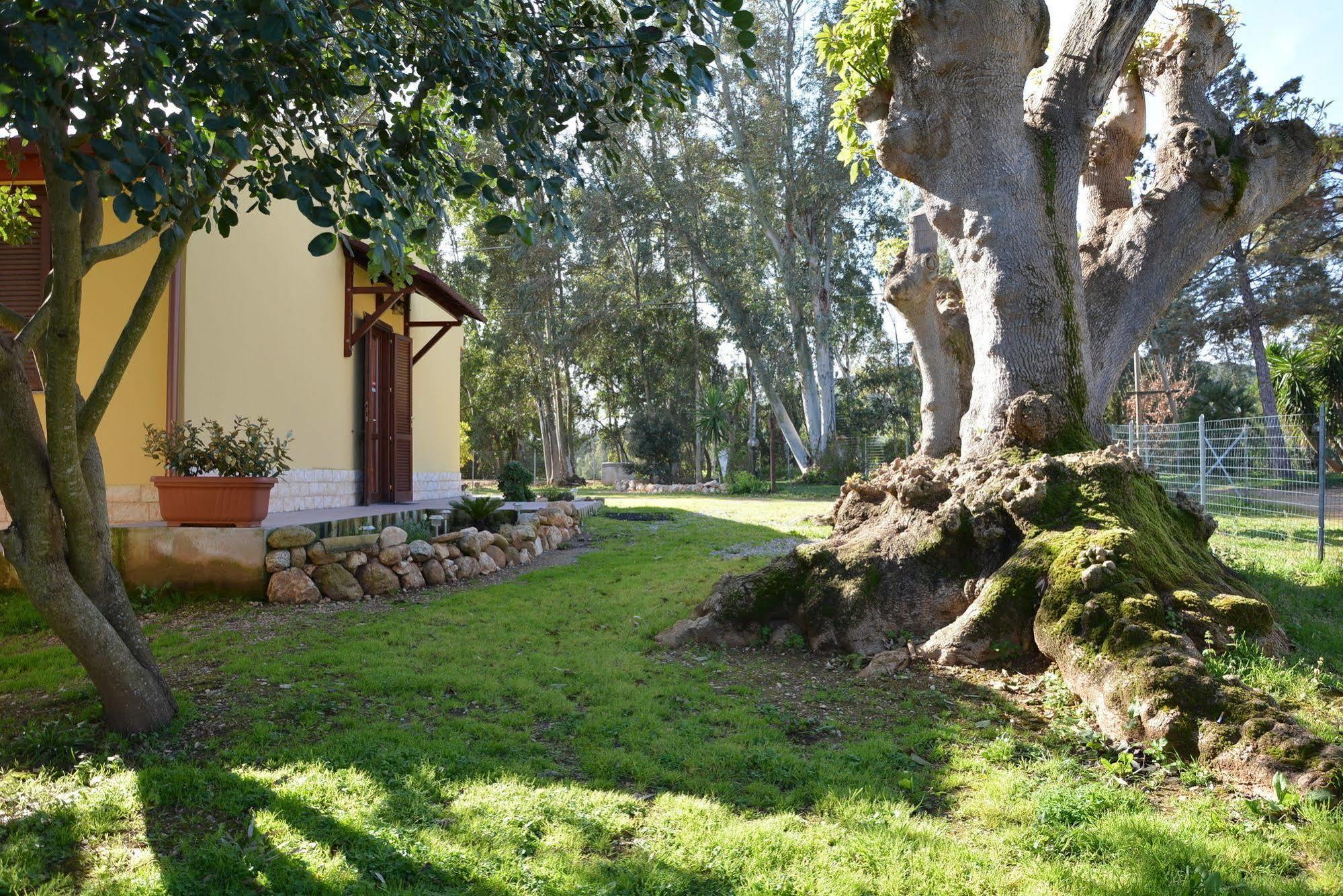 Agriturismo Sa Murta In Sennariolo-Oristano Exterior photo